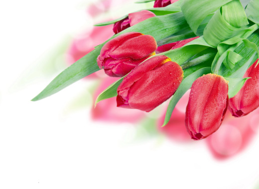 797028 (a): :2560x1866
